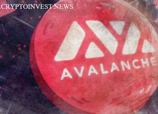 Circle запускает стабильную евро-монету на Avalanche Circle