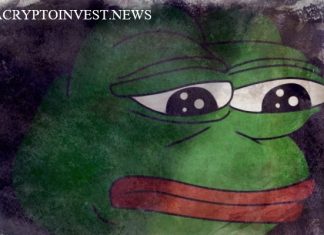 Bitcoin Frogs стала самой горячей коллекцией NFT за 24 часа Bitcoin Frogs