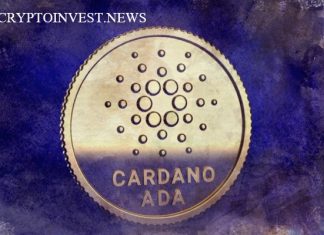 Узел Cardano, Hydra Head, запущен в основной сети блокчейна Hydra Head