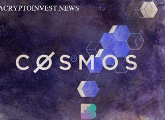 Модель «сетевой безопасности» для экосистемы Cosmos Cosmos