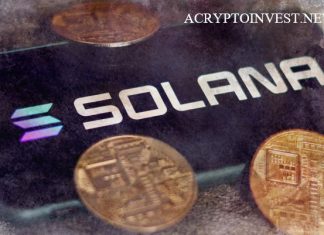 Solana видит рост числа новых пользователей Solana