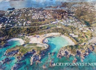 Криптофирмы США мигрируют на Бермудские острова Бермудские острова