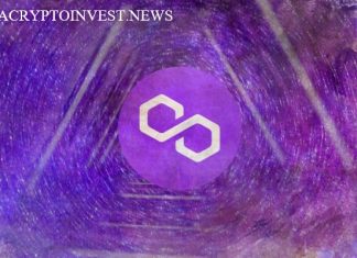 Polygon представляет план по созданию сети цепочек уровня 2 Polygon