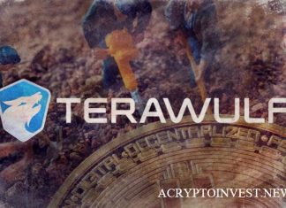 TeraWulf увеличит мощность майнинга биткойнов TeraWulf