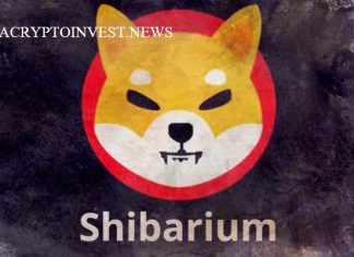 Команда Shibarium возобновляет вывод средств в сети Shibarium