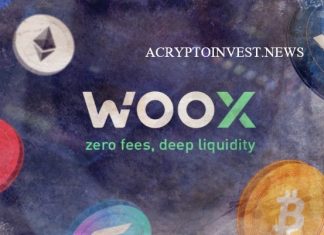 WOO X в партнерстве с OpenTrade предлагает векселя в Азии WOO X