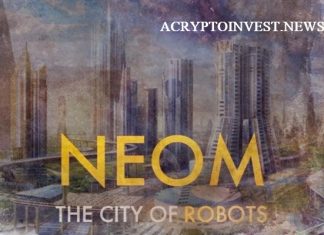 NEOM предлагает инвестировать $50 млн в Animoca Brands NEOM