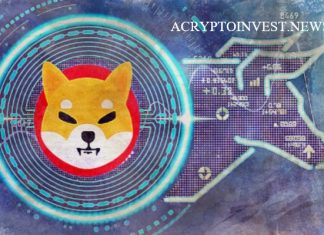 Предпродажа Sensei Inu вызвала ажиотаж Sensei Inu