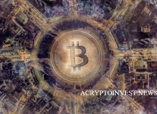 TVL на Tomo и New Bitcoin City превысила 1 миллион долларов Tomo и New Bitcoin City