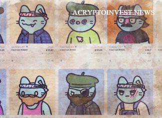 Animoca Brands объявляет о партнерстве с Cool Cats Group Cool Cats