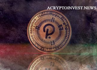 Acryptoinvest: Что такое Polkadot (DOT) и как он работает Polkadot