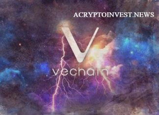 Vechain и Venum представляют одежду для бойцов ММА Vechain