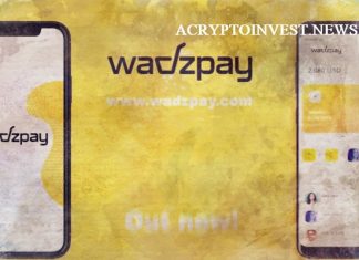 WadzPay получил одобрение VARA в Дубаи WadzPay