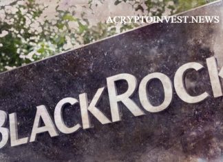 Маркет-мейкеры обсуждают с BlackRock ликвидность для биткойн-ETF BlackRock