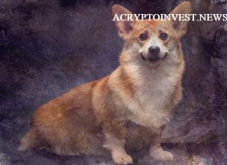 Мемкоин CORGIAI вырос на 600% за неделю CORGIAI