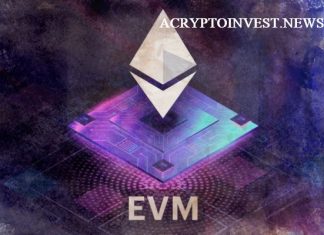 Что такое EVM-совместимые блокчейны EVM