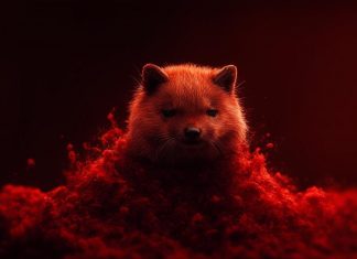 Reddit планирует провести IPO к марту 2024 года Reddit