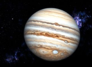 Jupiter регистрирует ежедневный объем почти в $1,4 млрд Jupiter