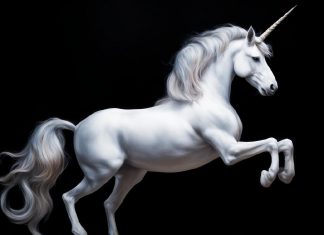 Uniswap представляет расширение для браузера кошелька Uniswap