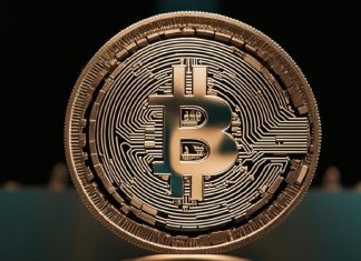 Интерес к Bitcoin Ordinals NFT растет NFT