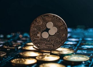 Ripple жертвует $25 млн комитету по криптовалютам Fairshake Ripple