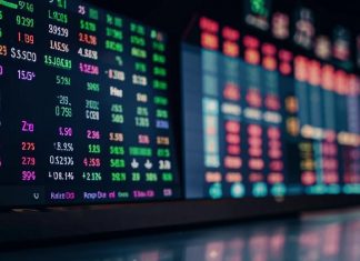 Обзор криптовалютного венчурного капитала Инвестиции