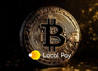 Обзор крипто обменного сервиса Local Pay (local-pay.com)