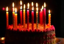 Solana отмечает 5-летие на фоне снижения сетевой активности Solana