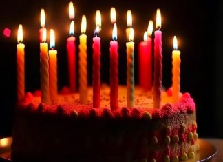 Solana отмечает 5-летие на фоне снижения сетевой активности Solana