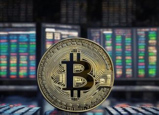 Спотовые биткоин-ETF привлекли $609 млн чистого притока ETF