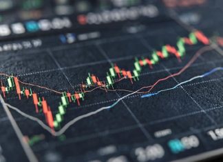 Что такое индекс страха и жадности и как его использовать? индекс страха