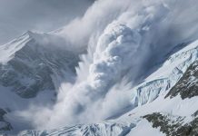 Grayscale подает заявку S-1 в SEC на спотовый ETF AVAX Avalanche