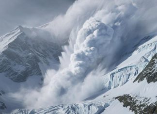 Grayscale подает заявку S-1 в SEC на спотовый ETF AVAX Avalanche