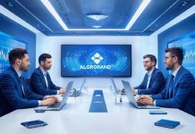 Algorand назначает XBTO маркет-мейкером для рынков ALGO Algorand