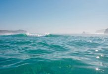 OpenSea планирует запустить токены SEA в Q1 2026 года OpenSea