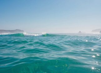 OpenSea планирует запустить токены SEA в Q1 2026 года OpenSea