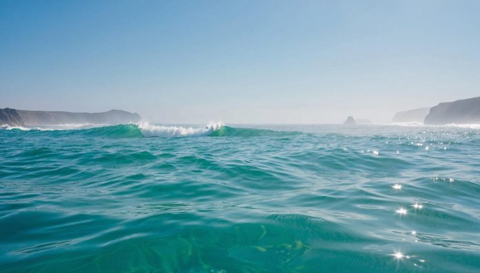 OpenSea