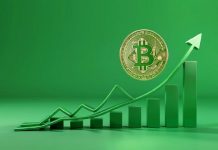 BTC — $115 000, миллионы коротких позиций ликвидированы BTC