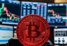 Спотовые биткоин-ETF потеряли $1,2 млрд в 4 неделю подряд Фонды