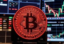Отток средств из спотовых BTC-ETF в ноябре достиг $3,5 млрд BTC-ETF