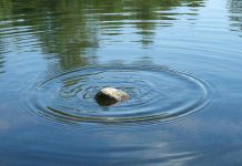 Ripple запускает казначейскую платформу Ripple Treasury Ripple Treasury