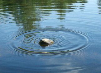 Ripple запускает казначейскую платформу Ripple Treasury Ripple Treasury