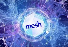 Крипто-платежная сеть Mesh достигла статуса «единорога» Mesh