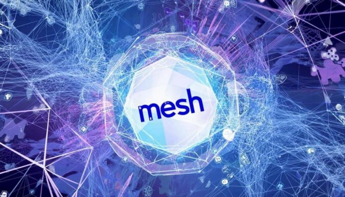 Mesh (1) Mesh